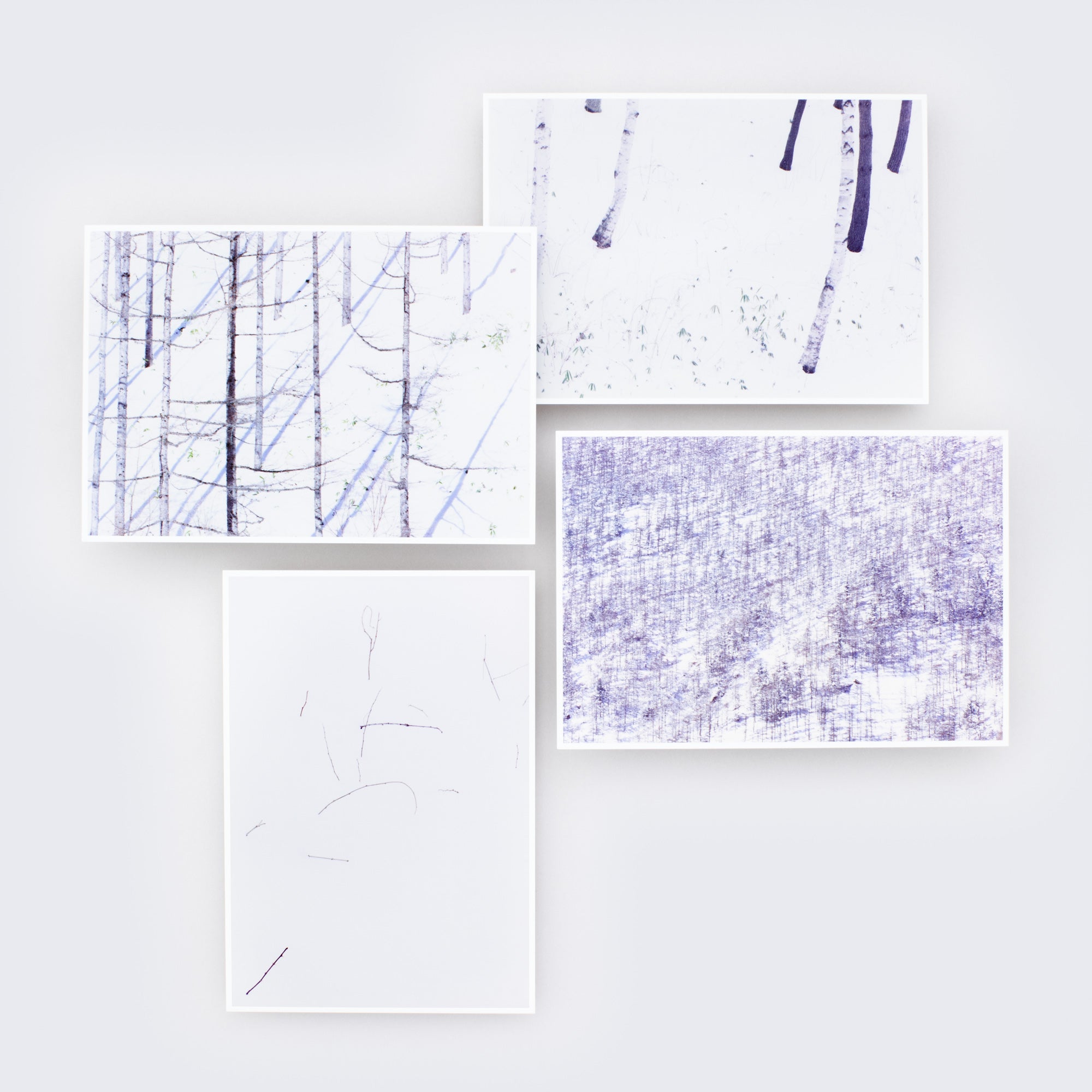 LOUIS VUITTON FOREST Postcard B – MT Gallery Inc.