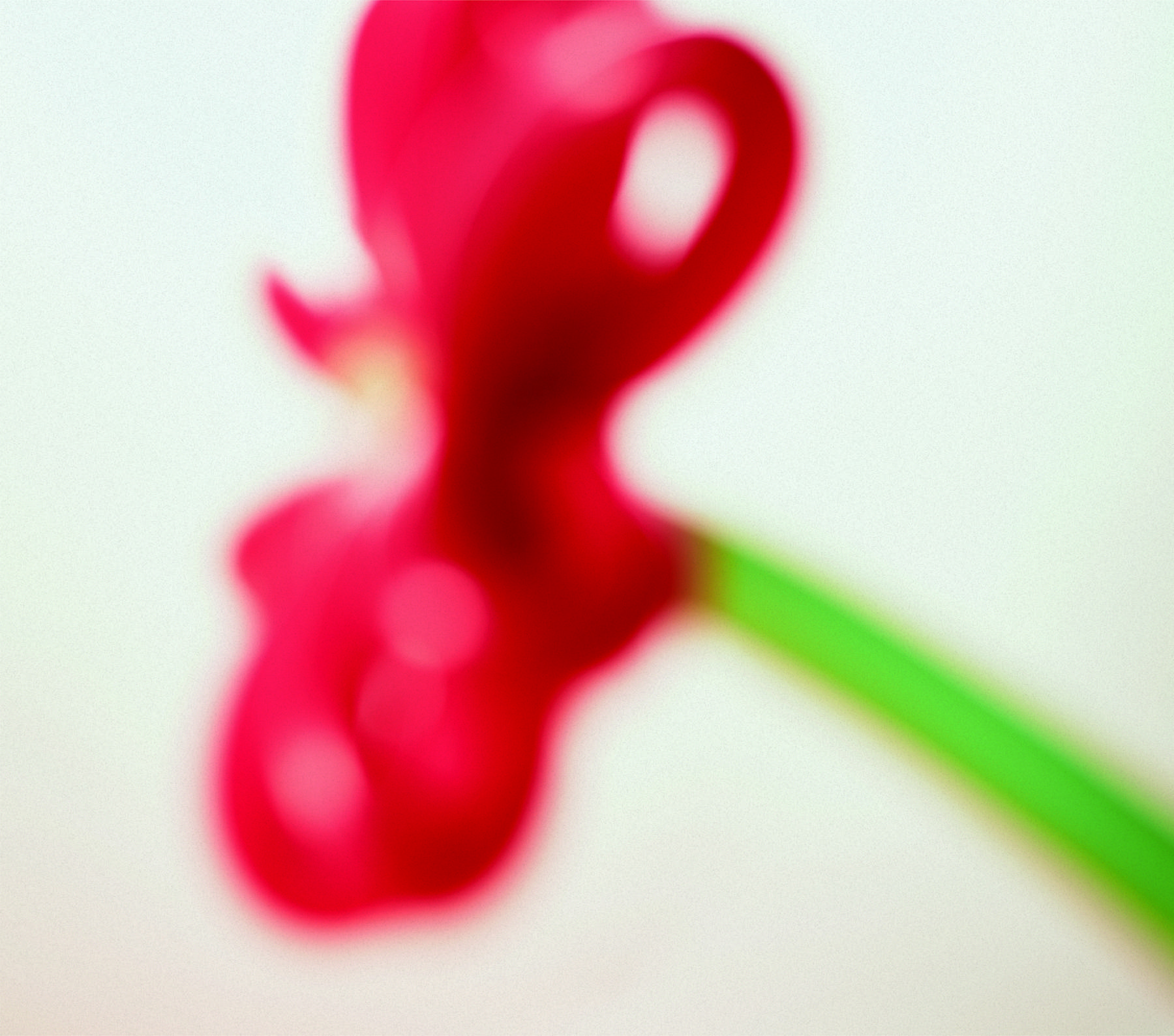 ハッピーエンドへの期待は｜マカロニえんぴつ Official Website