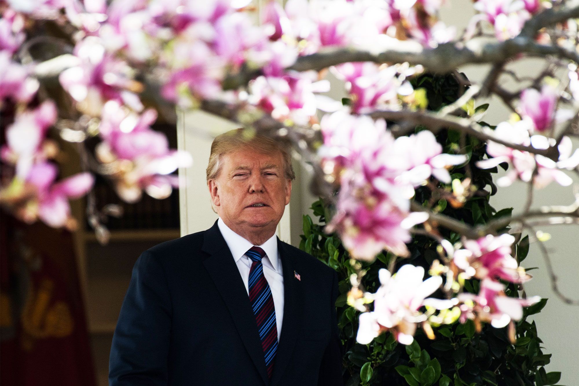 The Spring Edition of Trump Hotel's Merch Features Cherry Blossoms