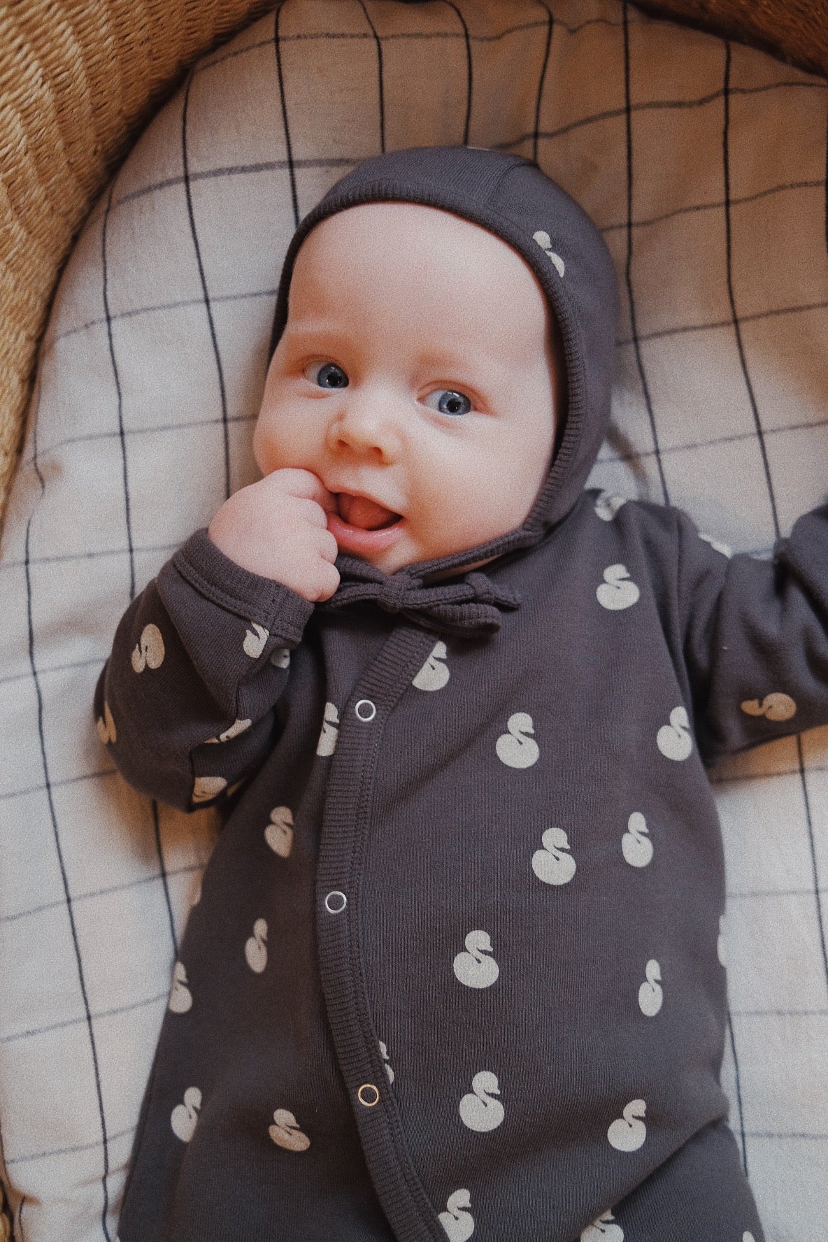 BLACK SWAN – melted butter