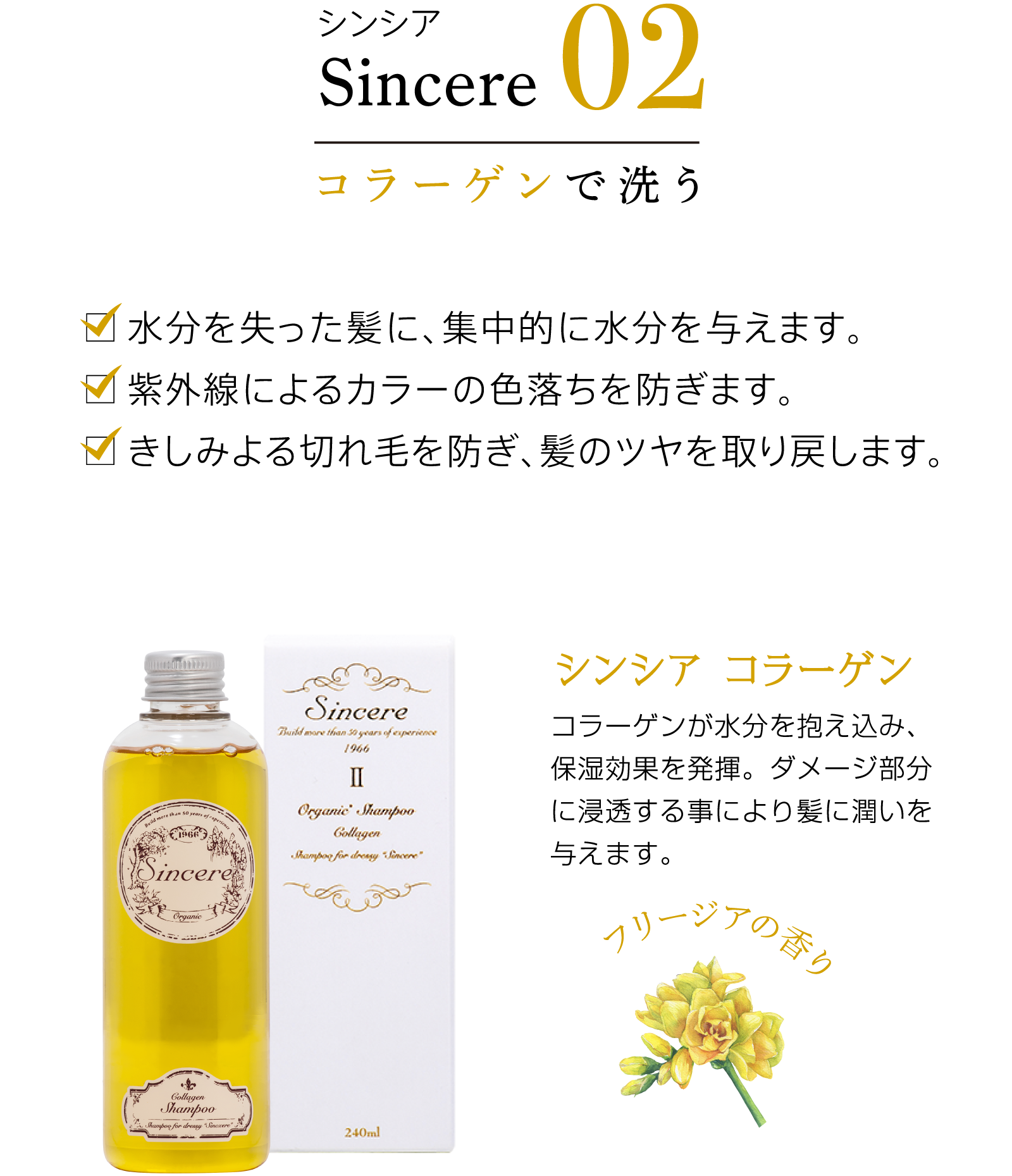 Sincere（シンシア） - 美ENTER / 宮崎化学