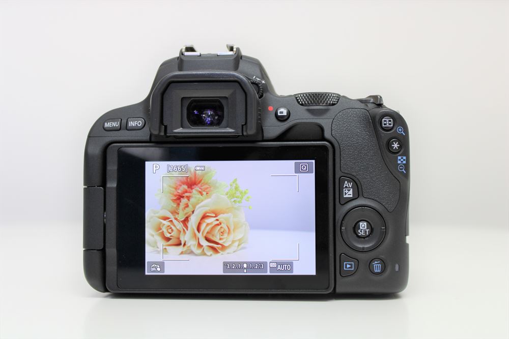 CANON（キヤノン） EOS Kiss X9 ダブルズームキット 一眼レフ 1ヶ月