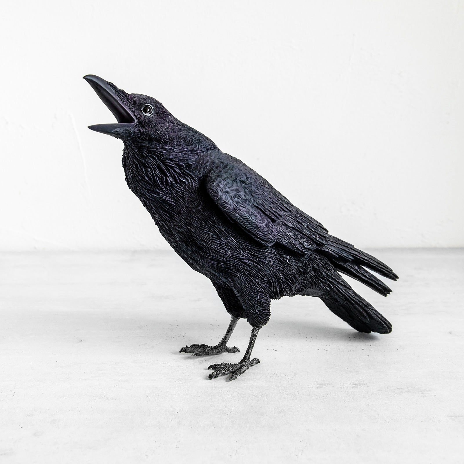 magnet / マグネット 貯金箱 カラス（JUNGLE CROW） – ニコノマニマニ