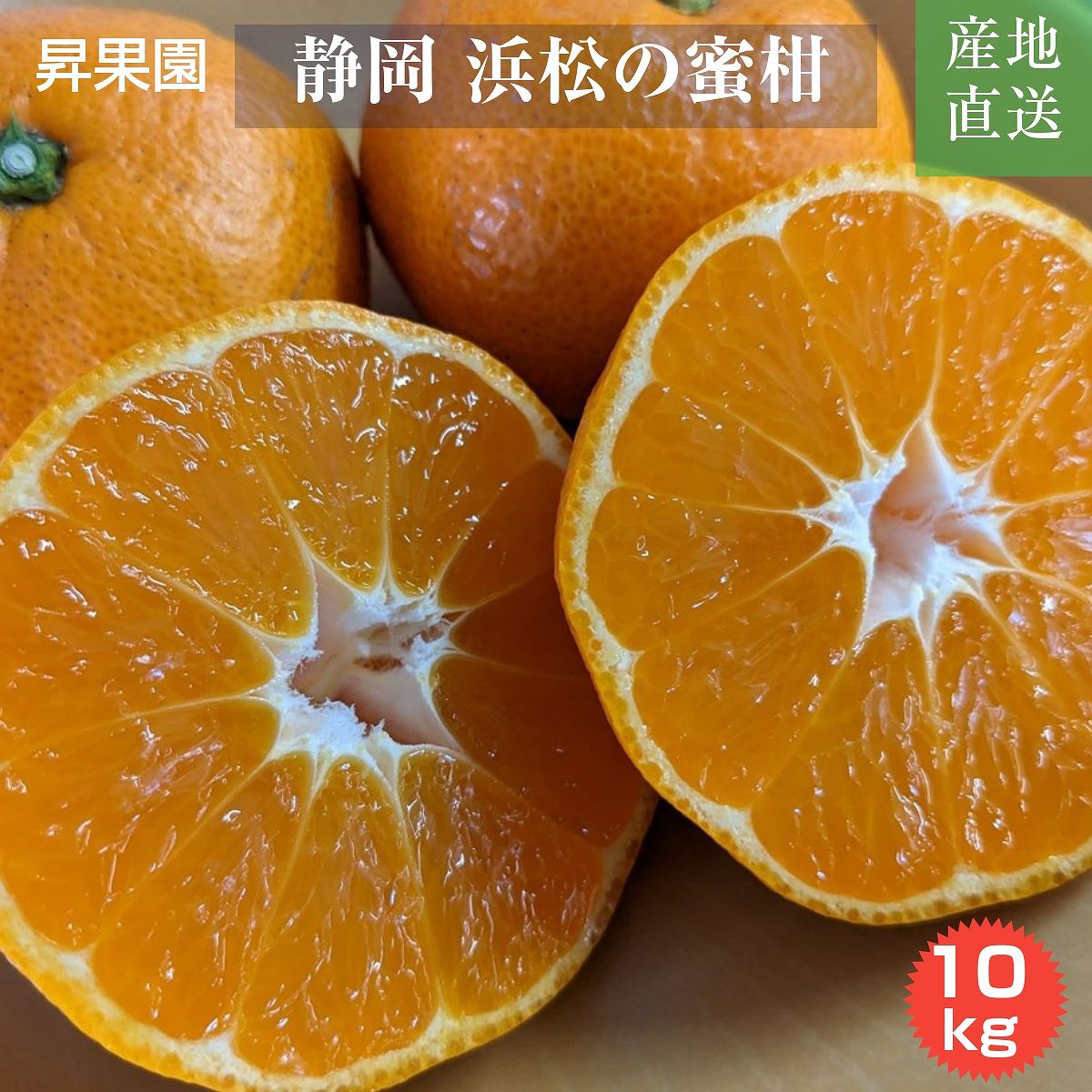 みかん 【昇果園】 S~M 10kg 約100～130個 家庭用 静岡県 浜松市 蜜柑