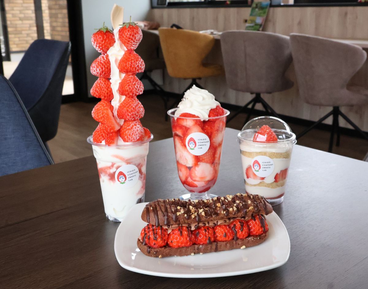 越後姫より甘い「とろける香りいちご」が一年中堪能できる！いちご