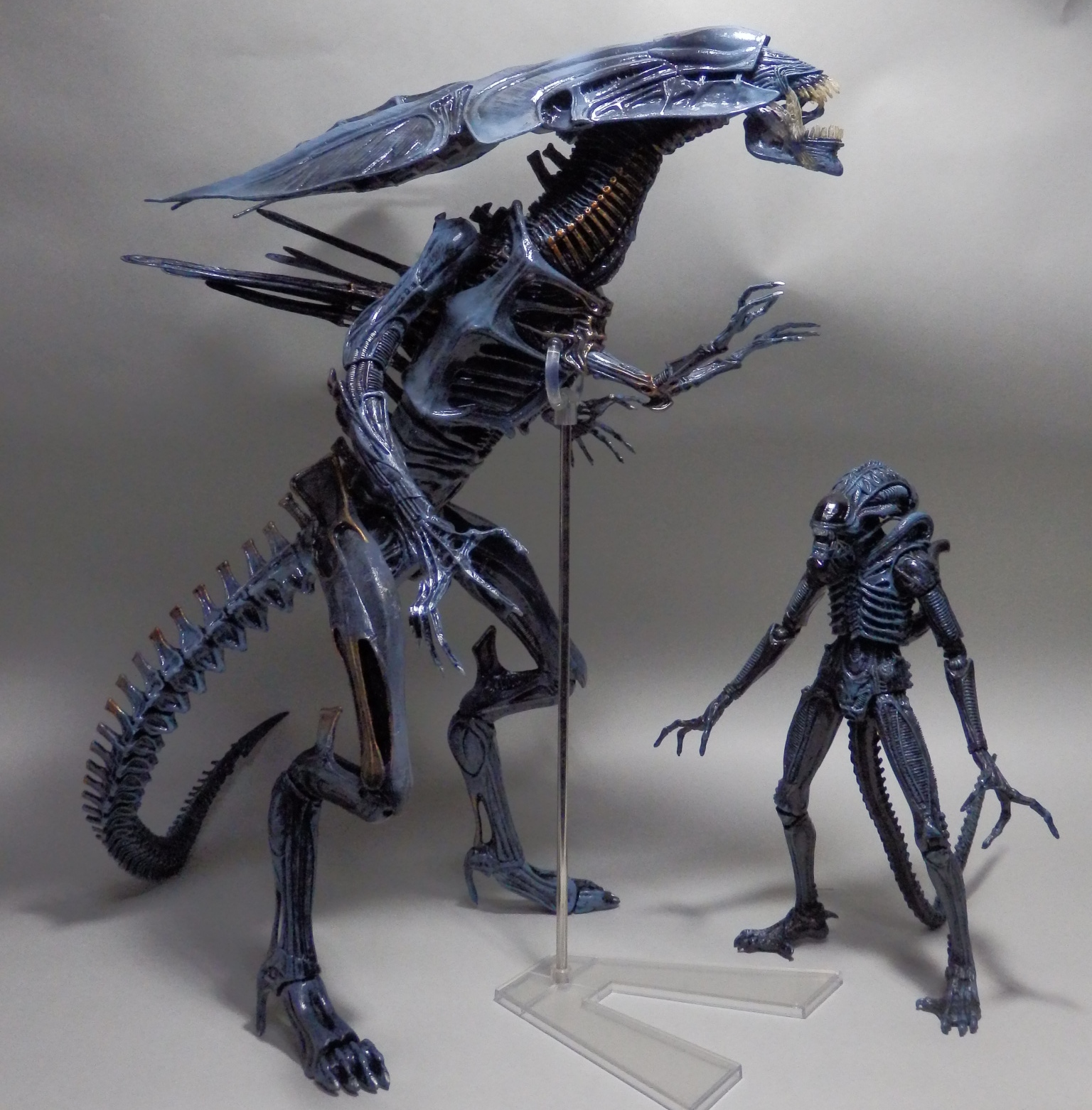 レビュー:NECA エイリアンクイーン | オタクin東毛