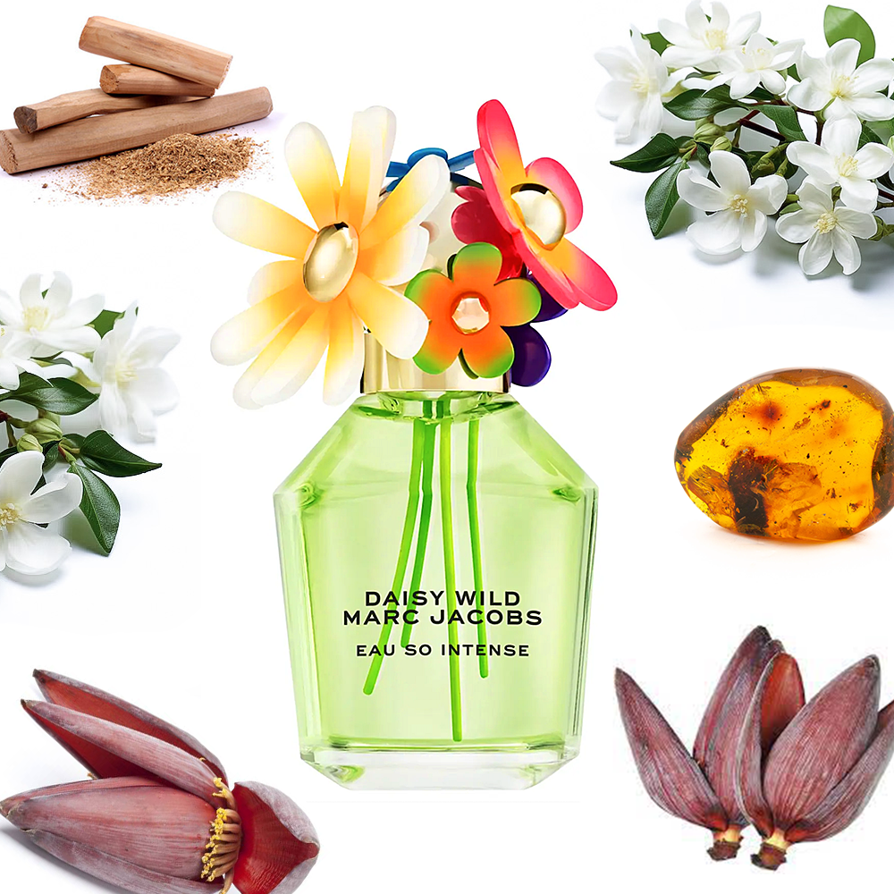 Marc Jacobs Daisy Wild Eau So Intense – Olena's Aroma Shop