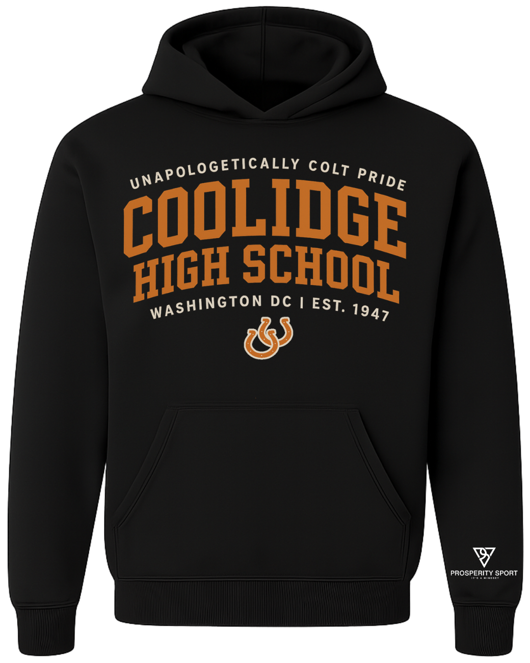 Coolidge Collegiate Hoodie – Campus Colors Apparel