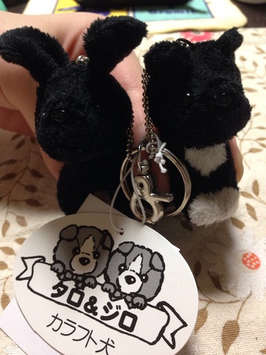 タロジロぬいぐるみ: 雪どうぶつ病院・個人的blog