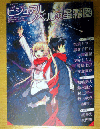 若き批評家二人の“PIECES OF A DREAM”～『ビジュアルノベルの星霜圏