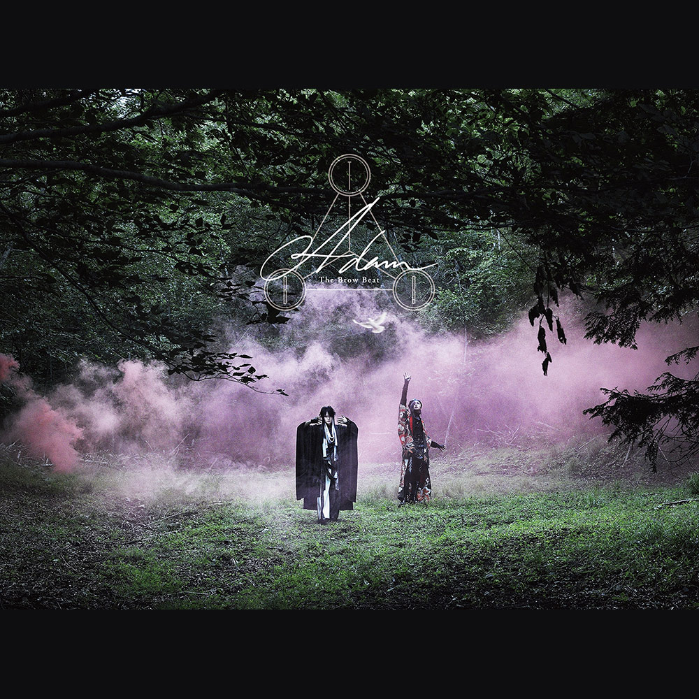 DISCOGRAPHY | The Brow Beat