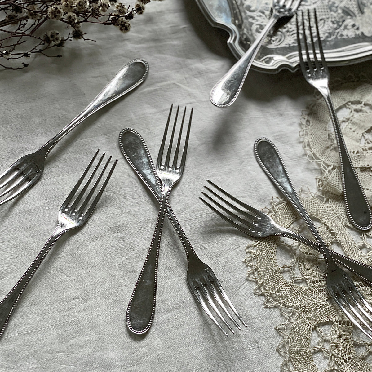 IMG_7999_219acda6-9ad9-4941-