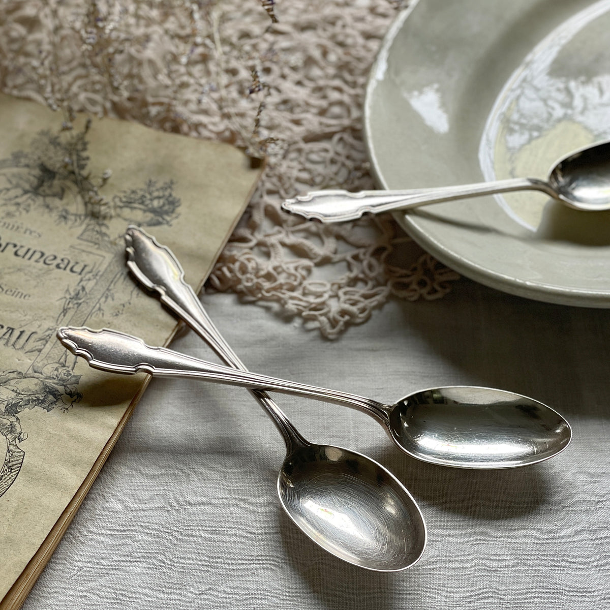 IMG_8090_e6088405-8930-48da-