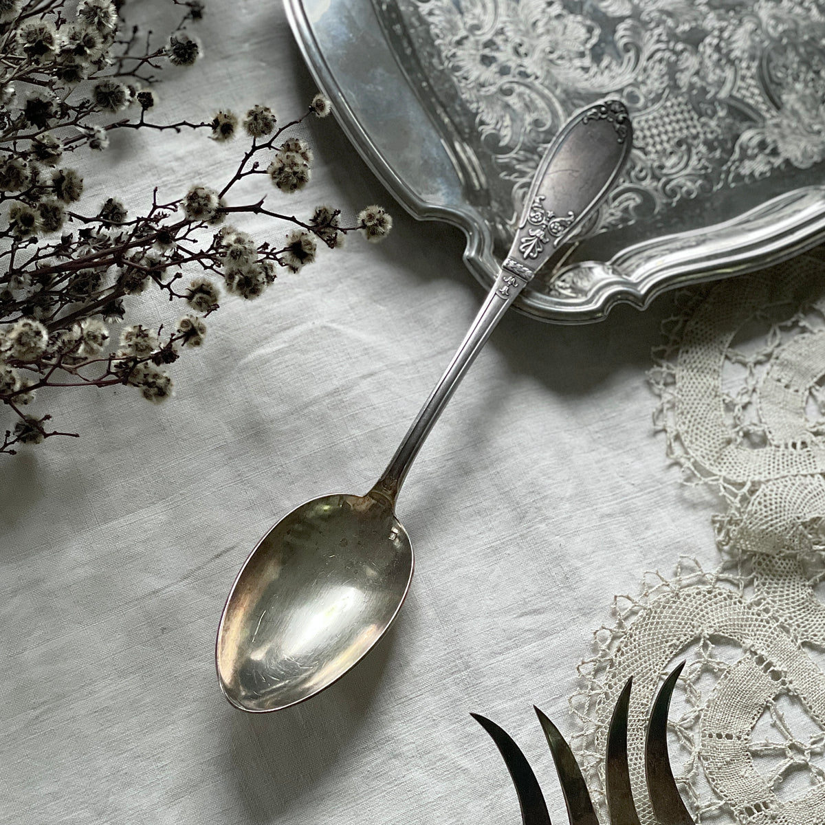 IMG_8011_8afec241-b5e6-4b4d-