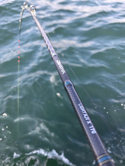 シンプルだけど奥が深い 金沢八景LTアジ | 西村豪太