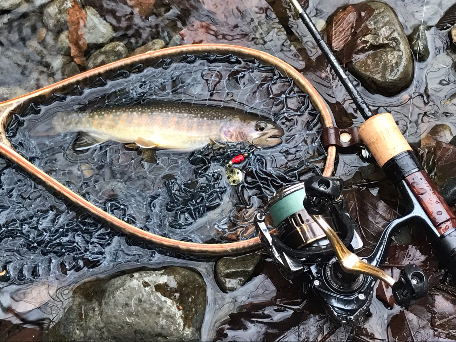 Silver Creek Stream Twitcher 開発ストーリー2 - DAIWA TROUT