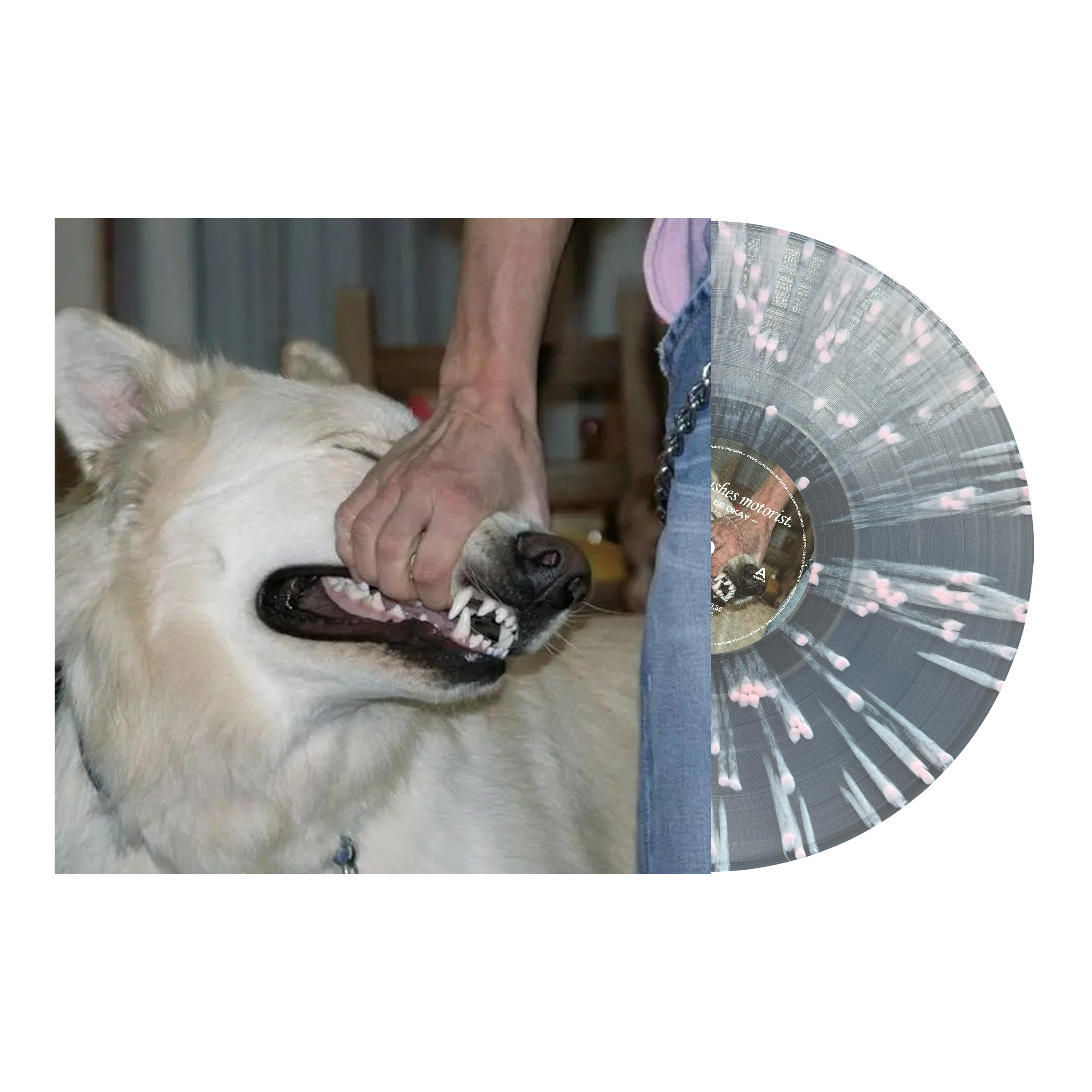 Sign Crushes Motorist 