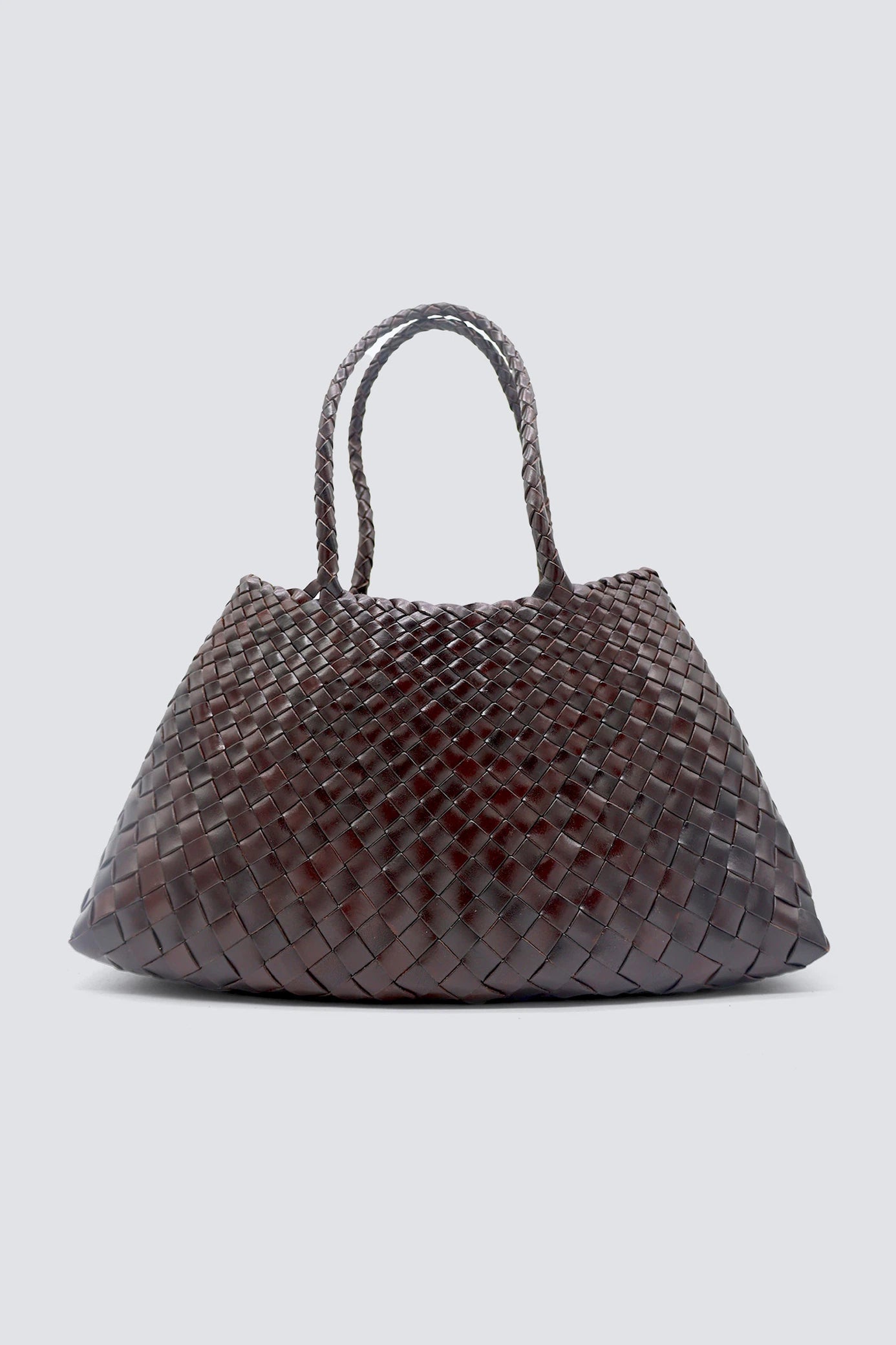 ドラゴンディフュージョン - サンタクローチェビッグダークブラウン