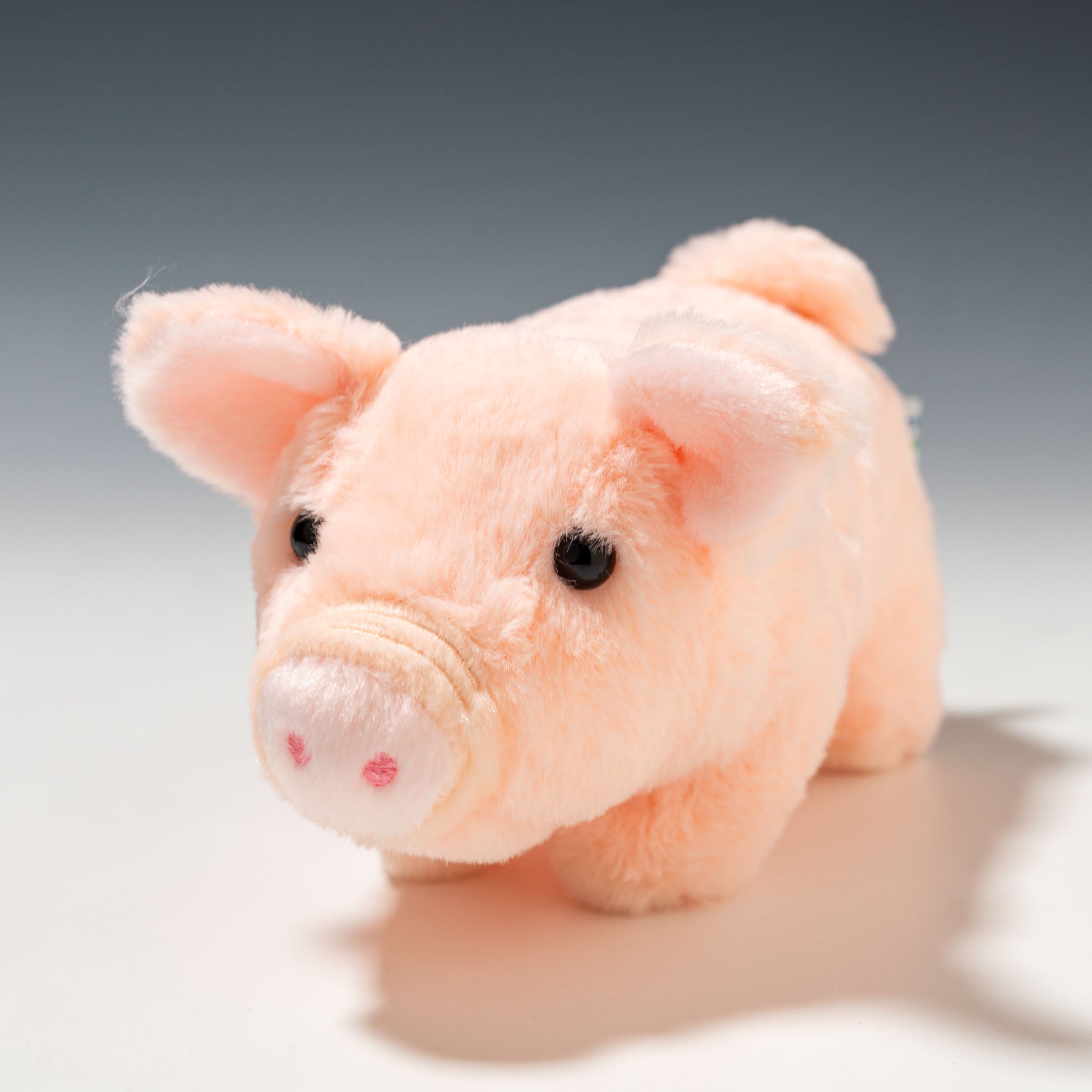 CUT-F0319-1.jpg?v=1755934773