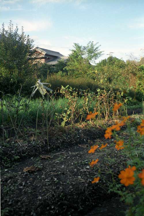 リコー：ハイカラー35作例