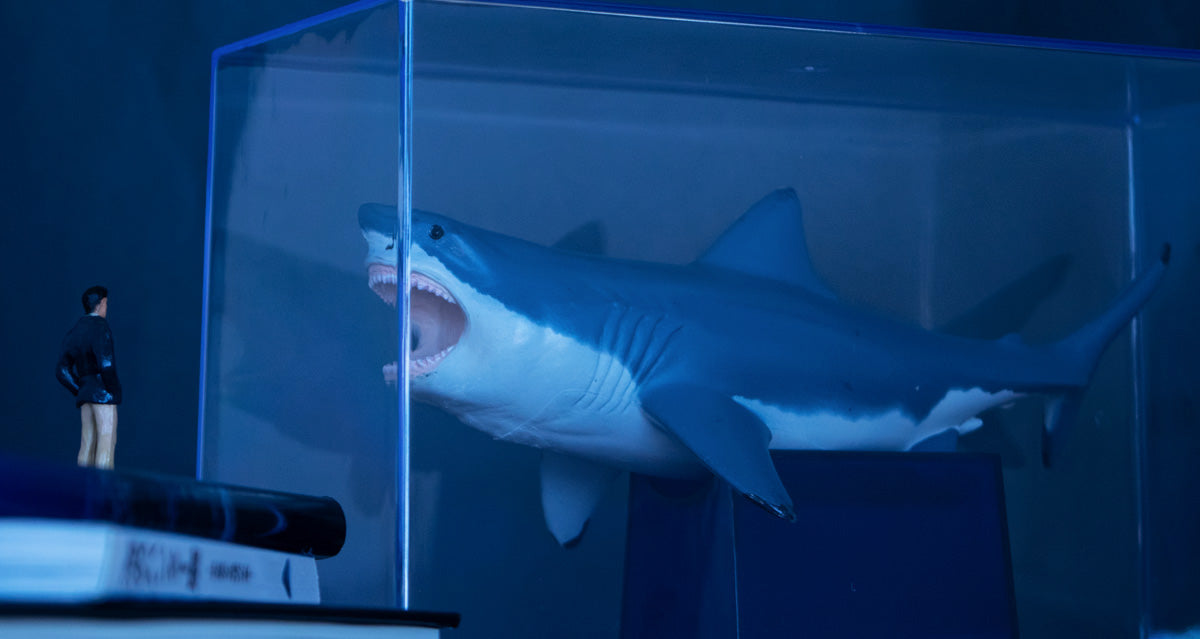 いまだ謎多き巨大ザメ — メガロドン — – Favorite official website