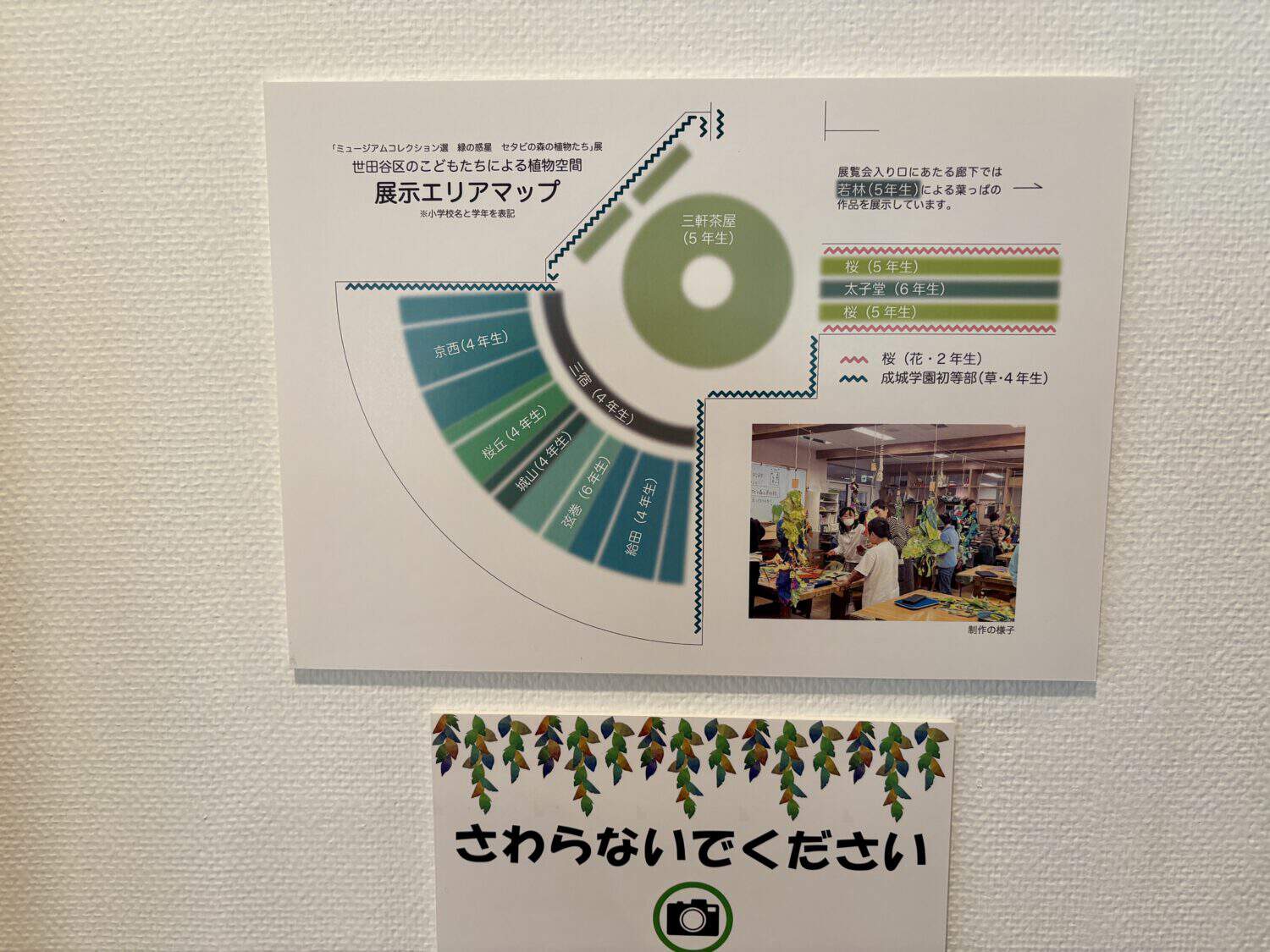 世田谷美術館で「緑の惑星 セタビの森の植物たち」半数が初公開作品