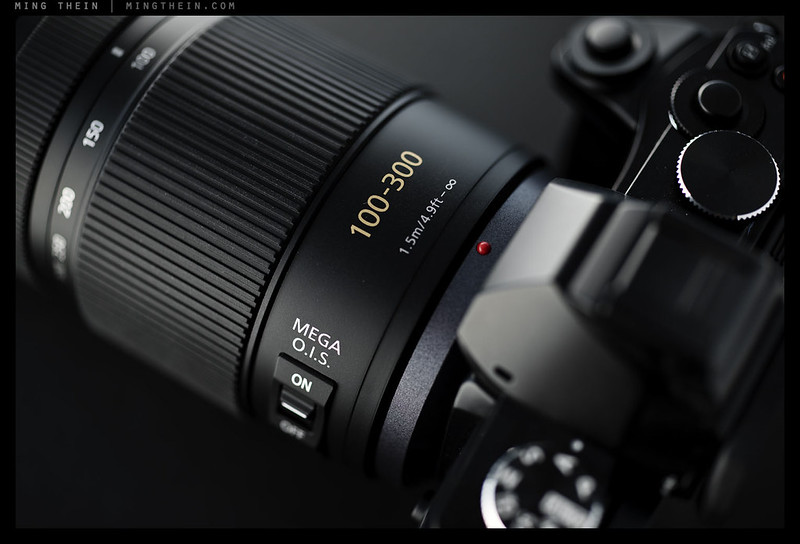 Review: The Panasonic 100-300/4-5.6 Lumix G Vario for Micro Four