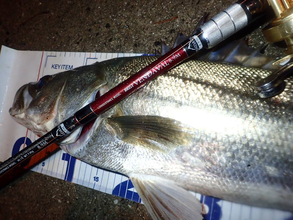 今回はベンダバール8.9Mを初めて使ってみたのでその感想を1ユーザー