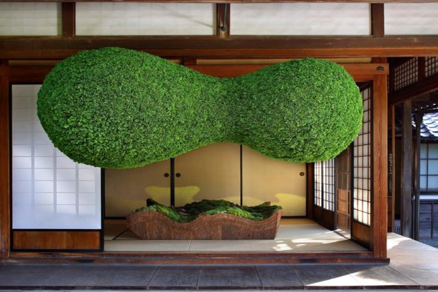 10455344_10154099291543117_435