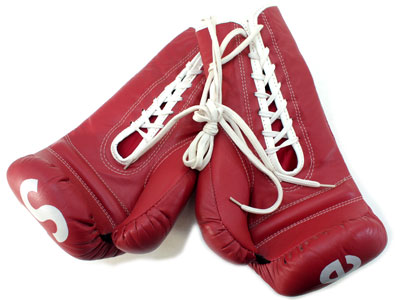Supreme×EVERLAST 'Boxing Gloves'ボクシンググローブ エバーラスト