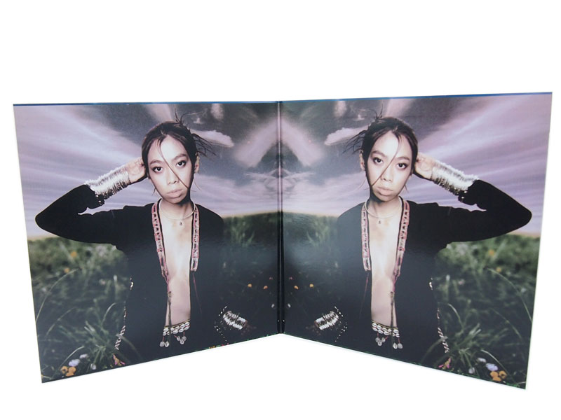 UA 初回限定盤 '11'12inch 2枚組 LP レコード アルバム イレブン