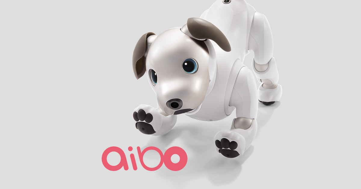 最新情報 | aibo