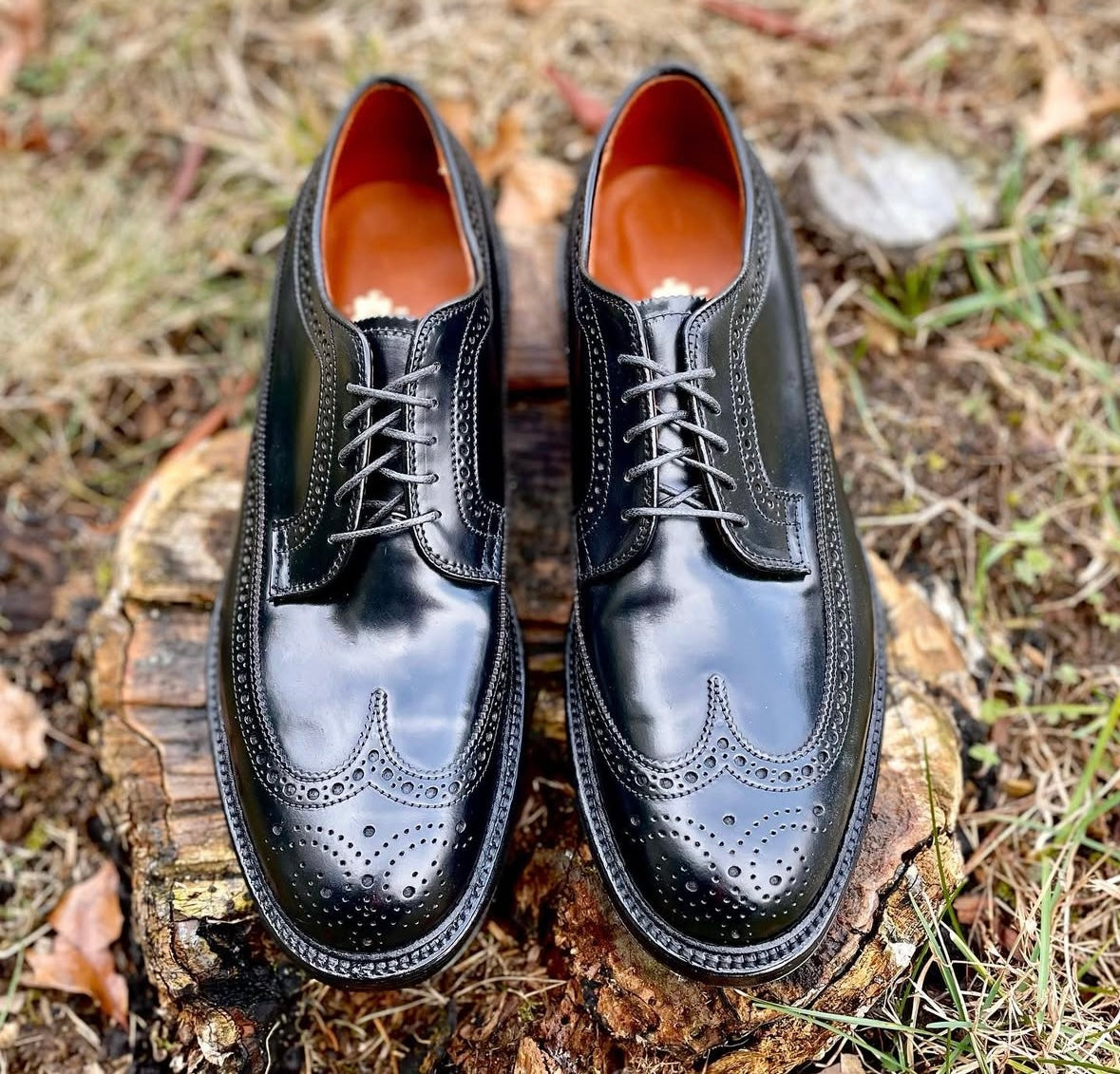 9751 - Long Wing Blucher in Black Shell Cordovan – ALDEN SHOES