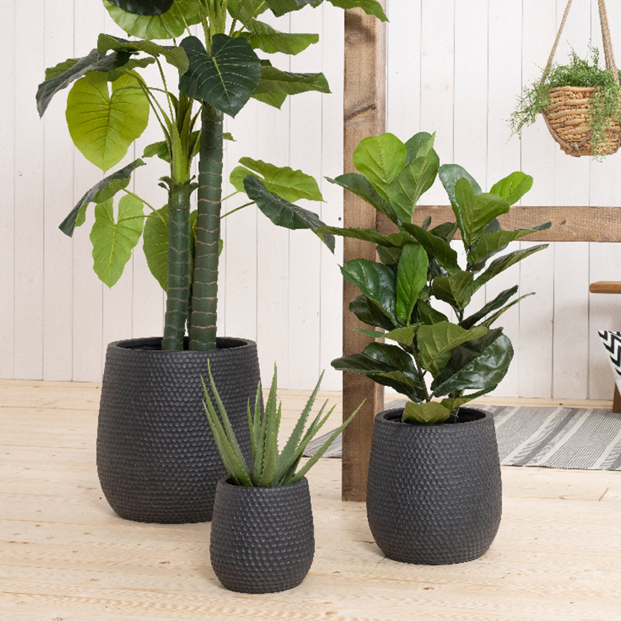 Zoe Honeycomb Fiber Clay Pot - Black – Al's Garden & Home