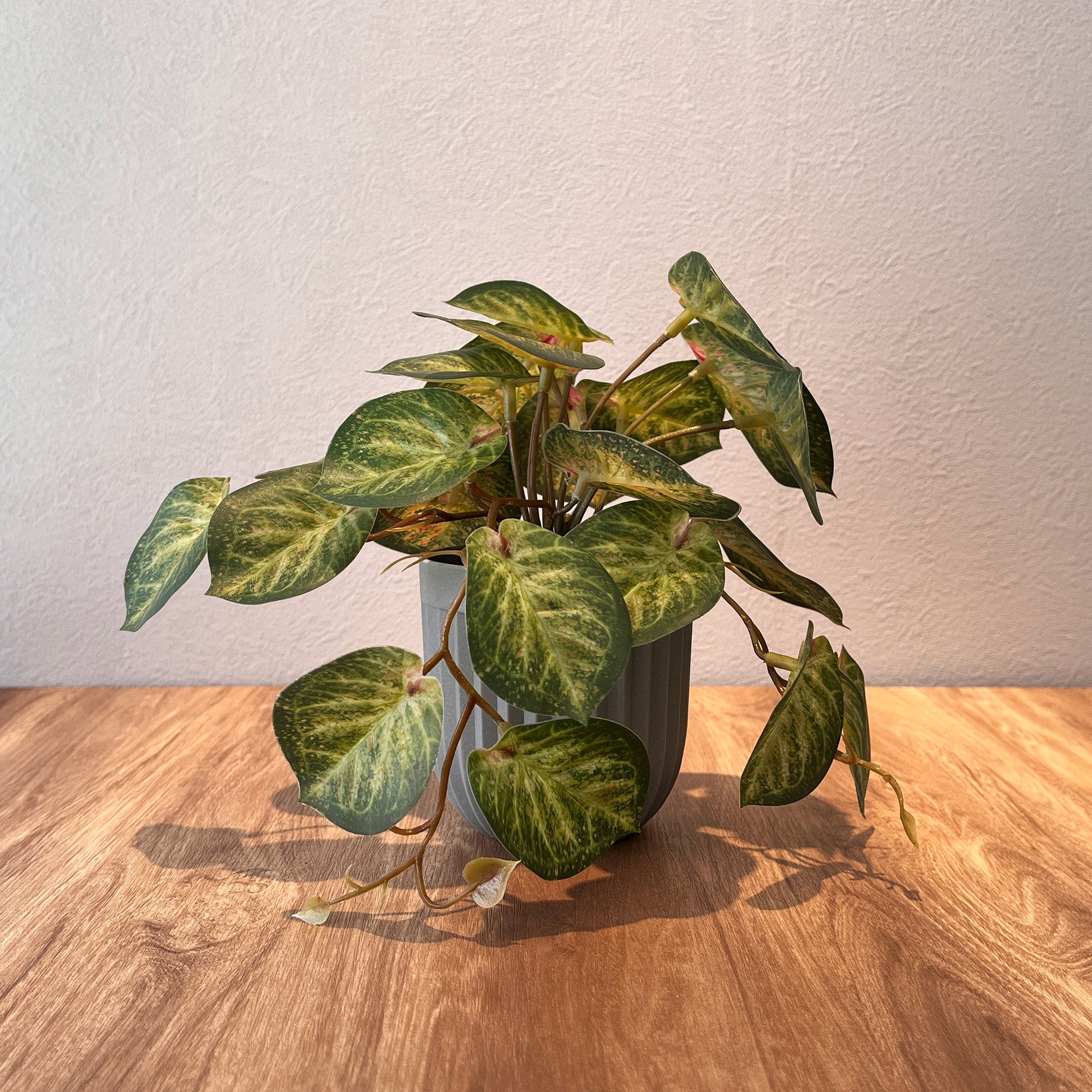 カラテア グレーポット-フェイクグリーン専用通販サイト – フェイク