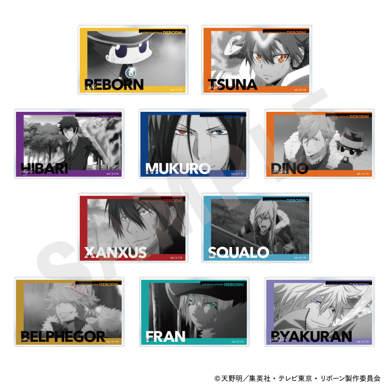 全種セット】「家庭教師ヒットマンREBORN!」 パートカラーシリーズ