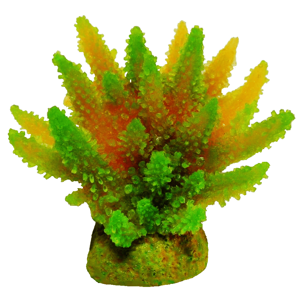 装飾珊瑚 彩り豊かでリアルな飾り珊瑚 - 株式会社スプリング