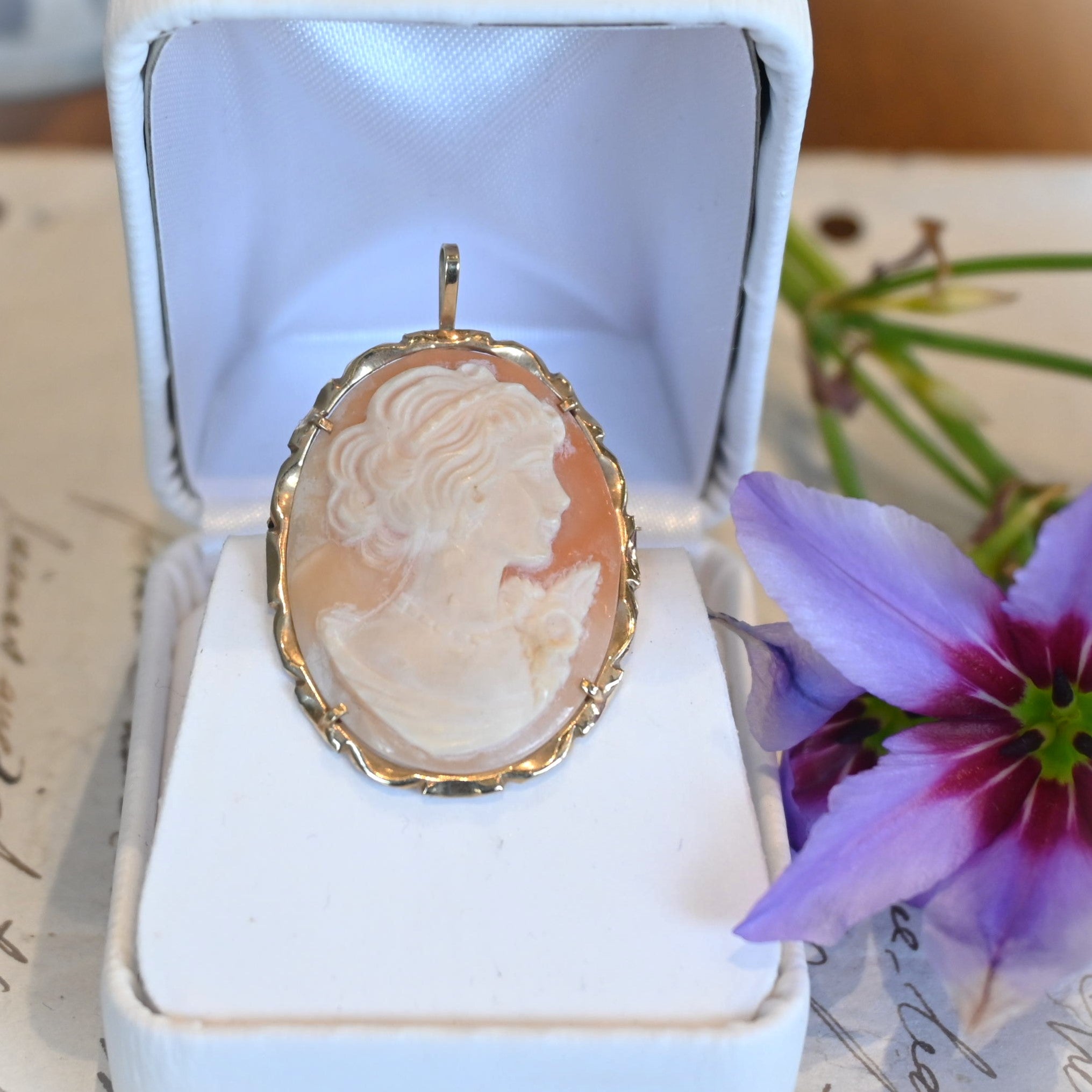 シェルカメオ APA From ITALY ペンダントブローチ | 芦屋Antico