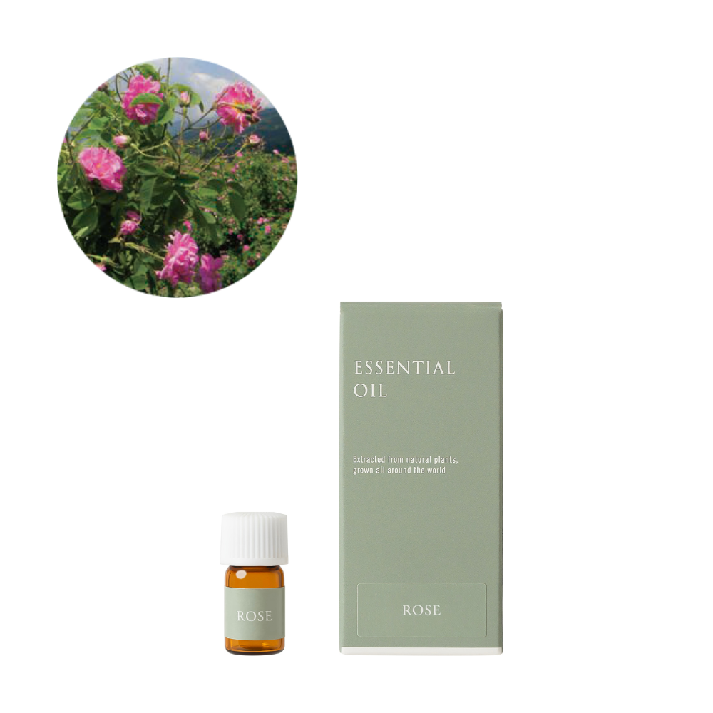 ローズ・ダマスク精油/Rose – 生活の木ビジネススマート