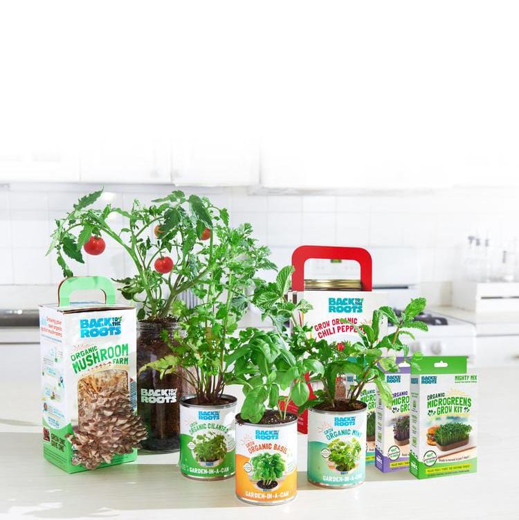 Summer Gardening Collection: 12 Kit Bundle (Herbs, Veggies