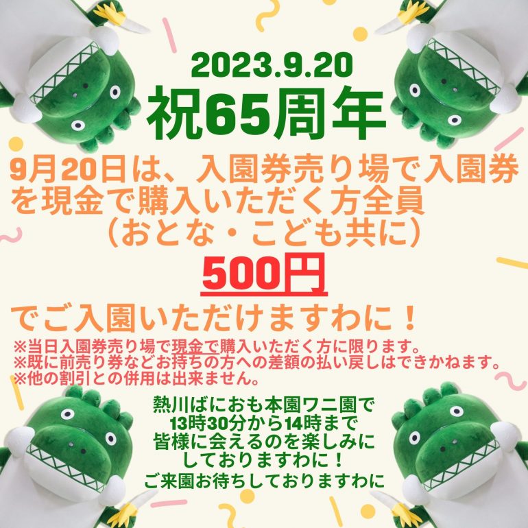 セカオワ ワニマ チケット 1枚 セカオワ ワニマ チケット 1枚 セカオワ