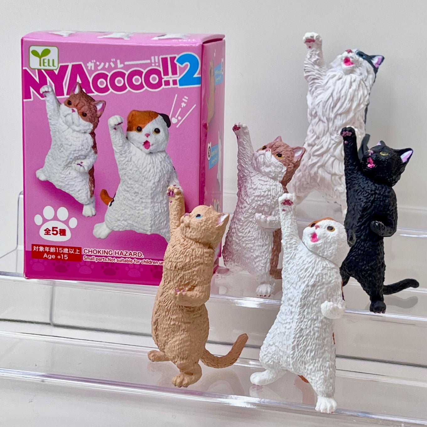 73066 Cat Cheer Nyaooo! Blind Box-10 – BCmini