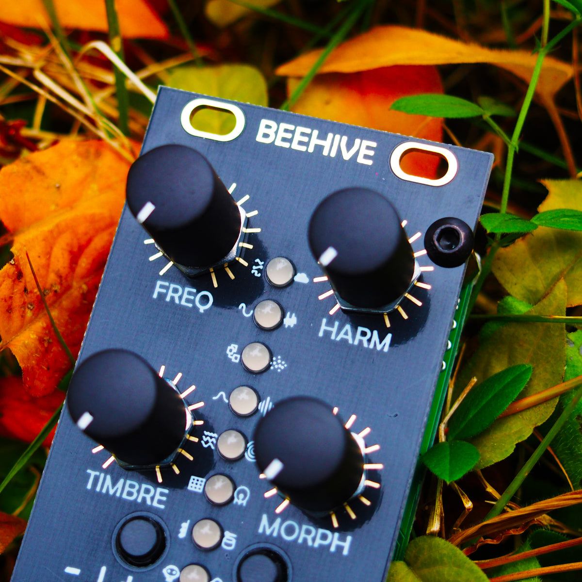 afterlateraudio-beehive-