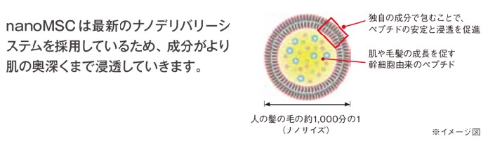 Belle Soufleurir ベルスフリール - ヒト由来の幹細胞化粧品