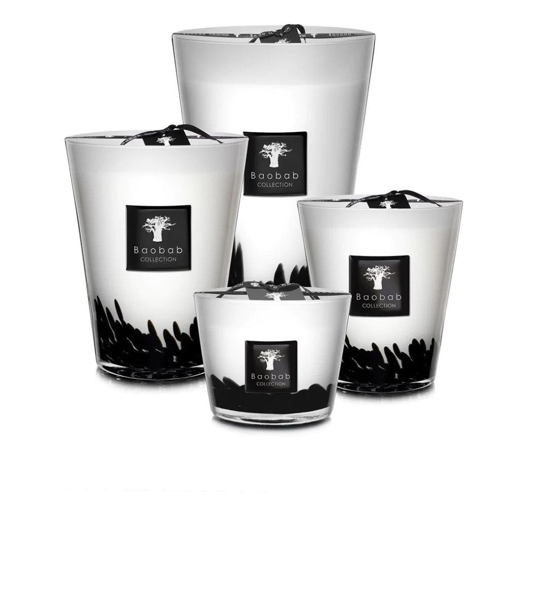 Baobab Collection Feathers Candles – Belle Maison Store
