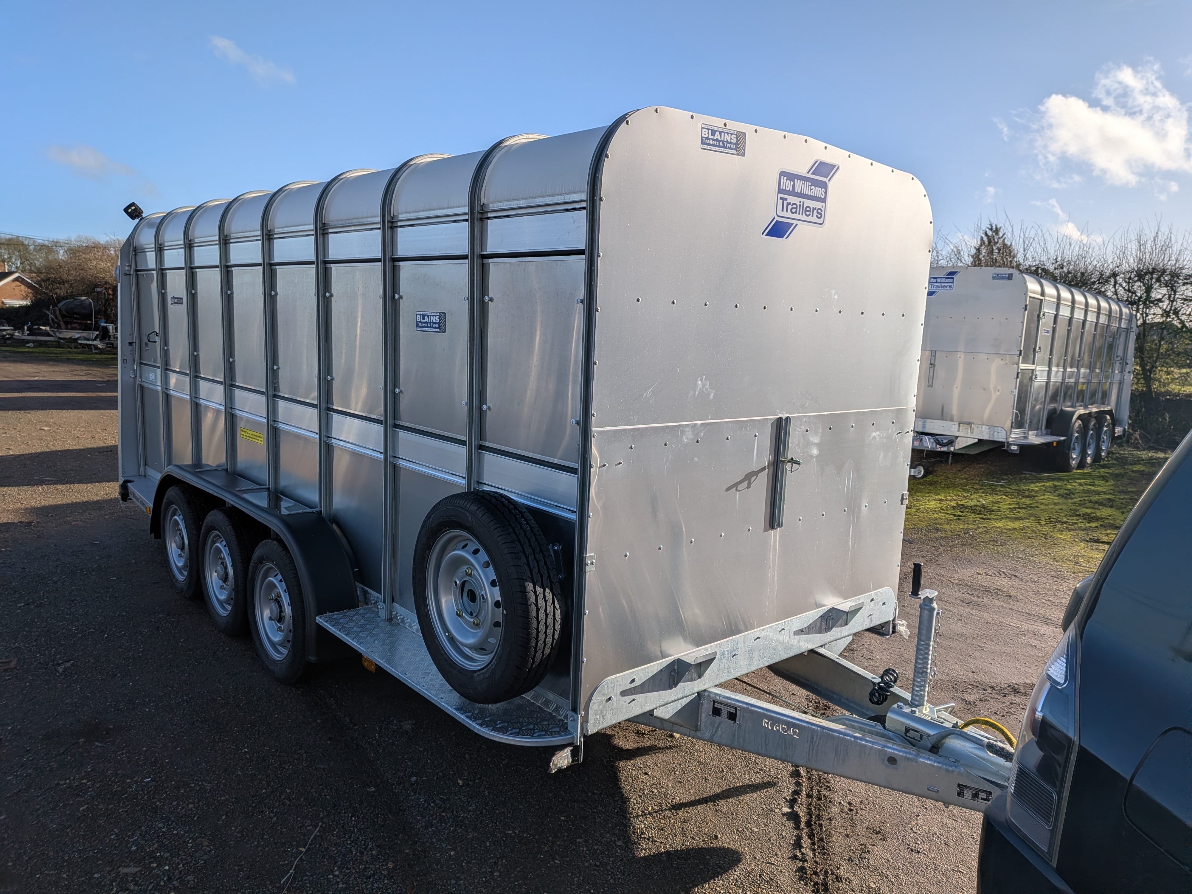Ifor Williams TA510 16'x6' Tri-Axle Livestock Trailer w. Sheep