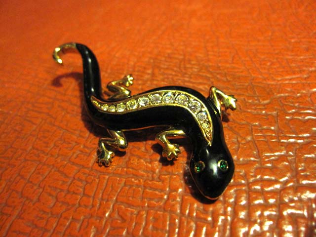 蜥蜴（トカゲ）のブローチ | JeJe+PIANO official blog