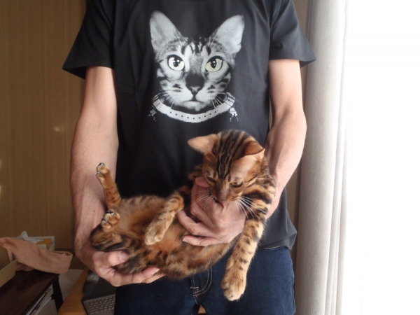 BUCK-TICK 櫻井敦司 くるみちゃんTシャツLサイズ 美品 BUCK-TICKくるみ