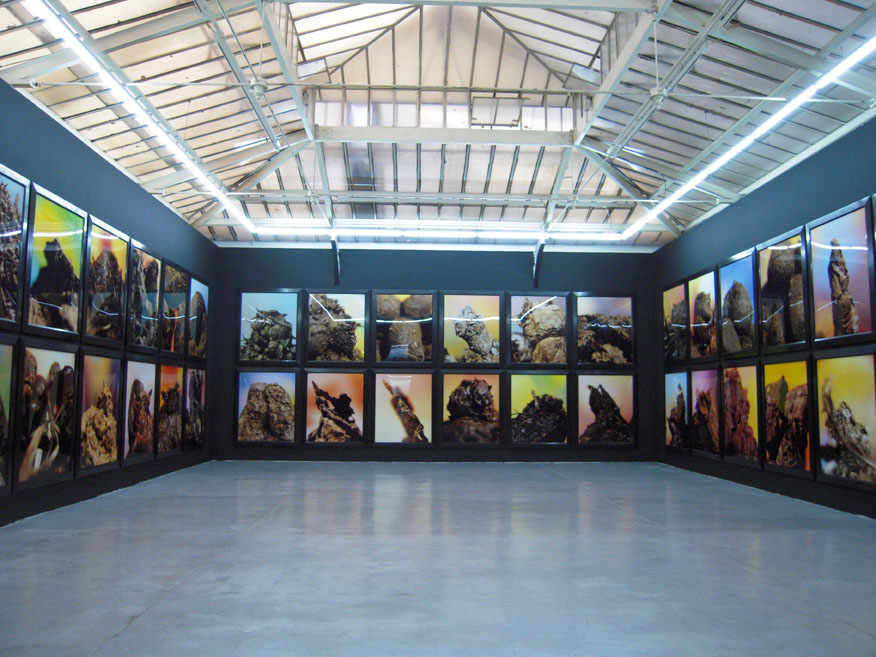 Andres Serrano /アンドレ セラノ「Shit」 | フランスアート界底辺日記