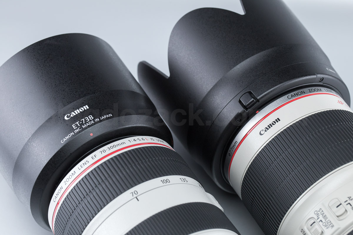 Canon EF 70-300mm f/4-5.6L IS USM Review